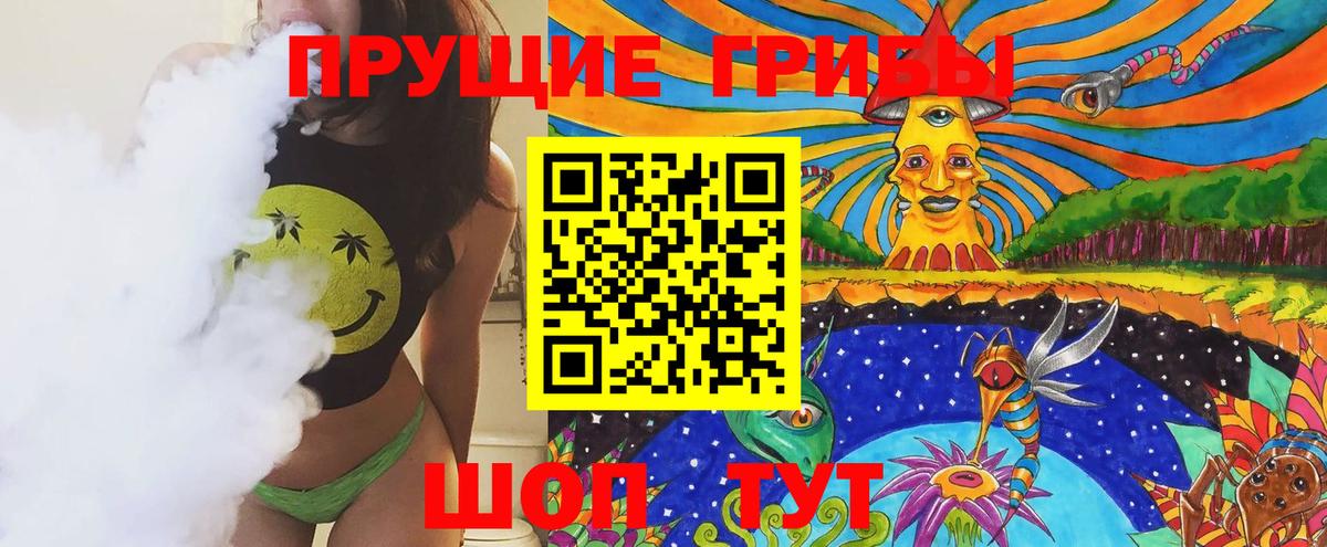 Псилоцибиновые грибы Cubensis  Вход с VPN  Мценск  Галлюциногенные грибы прущие грибы 